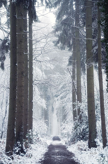 Martin Podt MPP786 - MPP786 - Welcome to Narnia - 12x18 Winter, Path, Trees, Forest, Landscape, Photography, Black & White, Snow from Penny Lane