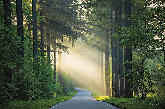 Martin Podt MPP810 - MPP810 - The Road - 18x12 Road, Paths, Trees, Sunlight, Photography from Penny Lane