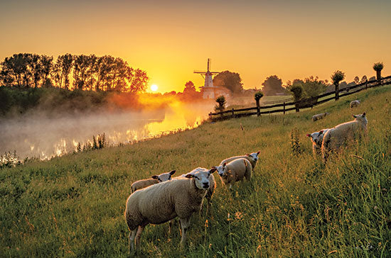 Martin Podt MPP815 - MPP815 - Sheep at Sunrise - 18x12 Sheep, Landscape, Sunrise, Windmill, Landscape, Cottage/Country from Penny Lane