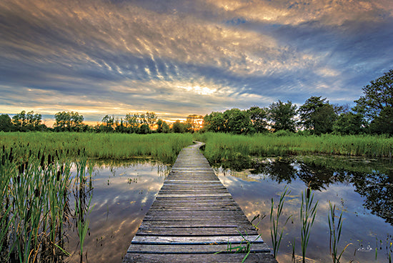 Martin Podt MPP917 - MPP917 - Boardwalk - 18x12 Photography, Lake, Boardwalk, Path, Trees, Landscape, Cattails, Nature from Penny Lane