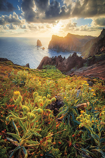 Martin Podt MPP939 - MPP939 - A Beautiful Sunrise - 12x18 Photography, Coastal, Landscape, Ocean, Tropical, Tropical Plants, Sunrise, Canyon, Rocks, Clouds, Nature from Penny Lane