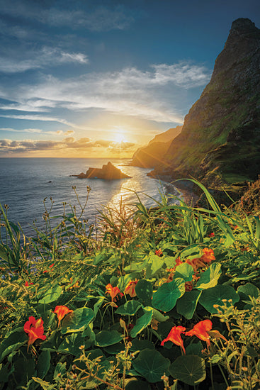 Martin Podt MPP941 - MPP941 - Sunrise in Paradise - 12x18 Photography, Coastal, Landscape, Sunrise, Rocks, Flowers from Penny Lane