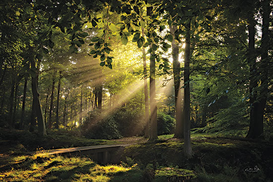 Martin Podt MPP950 - MPP950 - Bridge to the Light    - 18x12 Photography, Forest, Trees, Bridge, Creek, Sunlight, Landscape from Penny Lane