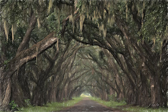 Martin Podt MPP954 - MPP954 - Alley of Oaks - 18x12 Photography, Landscape, Trees, Oak Trees, Path, Alley of Oaks from Penny Lane