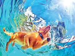 MS217 - Swimming Pup - 16x12