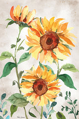ND157LIC - Late Summer Sunflowers I - 0