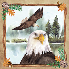 ND181 - The Great Bald Eagle - 12x12