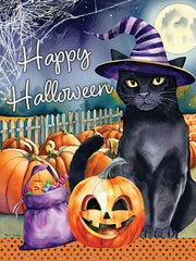 ND216 - Happy Halloween Witch Cat - 12x16
