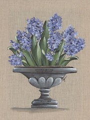 NOR201 - Hyacinth Urn - 12x16