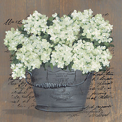 NOR211 - Heavenly Hydrangeas II - 12x12