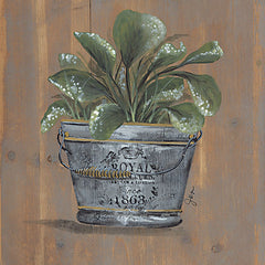 NOR213 - Pretty Plant in Pail - 12x12