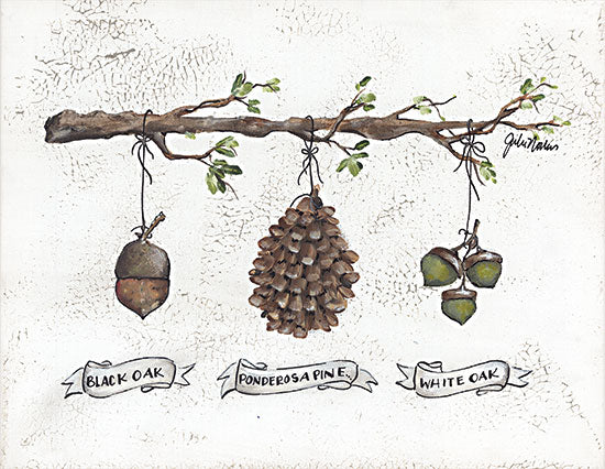 Julie Norkus NOR227 - NOR227 - Pinecone Acorn Study - 16x12 Nature, Chart, Pine Cones, Types of Pine Cones, Typography, Signs from Penny Lane