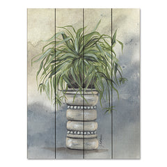 NOR239PAL - Spider Plant in Pottery - 12x16