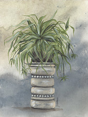 NOR239 - Spider Plant in Pottery - 12x16