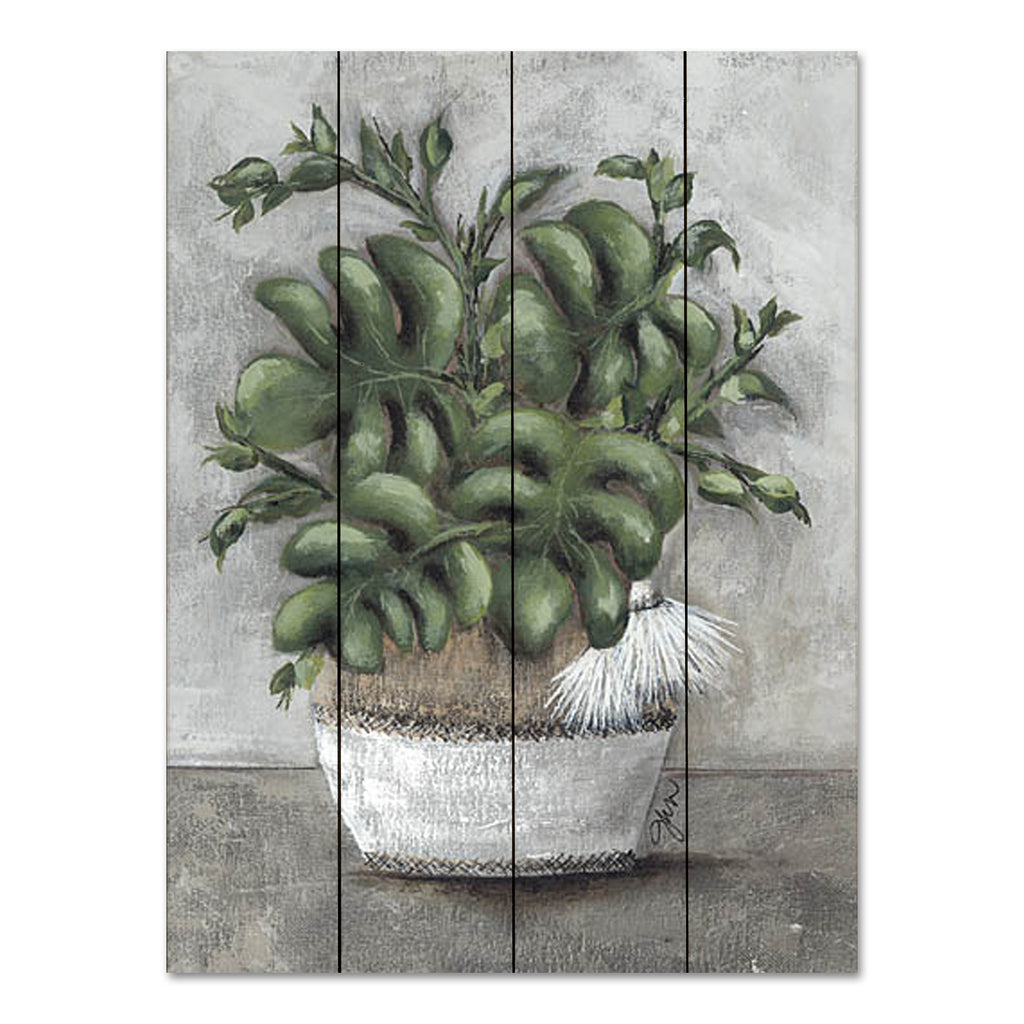 Julie Norkus NOR254PAL - NOR254PAL - Bohemond Stare - 12x16 Potted Plant, Greenery, Rustic from Penny Lane