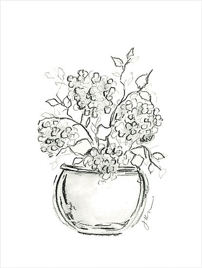 Julie Norkus NOR265 - NOR265 - Hydrangea Charcoal Sketch - 12x16 Flowers, Hydrangeas, Potted Hydrangeas, Sketch, Black & White, Abstract, Drawing Print, Plant, Charcoal Sketch from Penny Lane