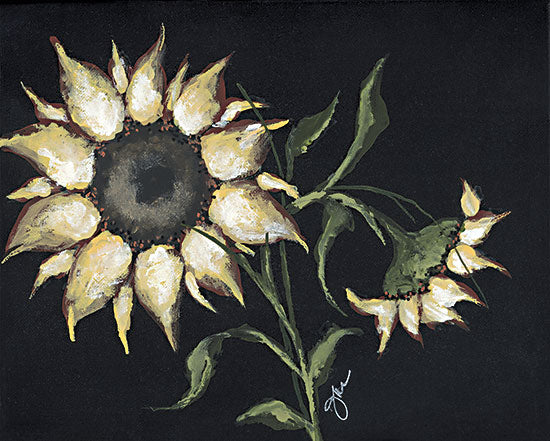 Julie Norkus NOR276 - NOR276 - Sunflower on Black - 16x12 Fall, Flowers, Sunflower, Fall Flowers, Black Background from Penny Lane