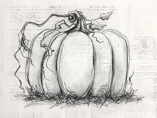 Julie Norkus NOR346 - NOR346 - Sketchy Pumpkin - 16x12 Fall, Pumpkin, Abstract, Black & White, Sketch, Drawing Print, Sketchy Pumpkin from Penny Lane