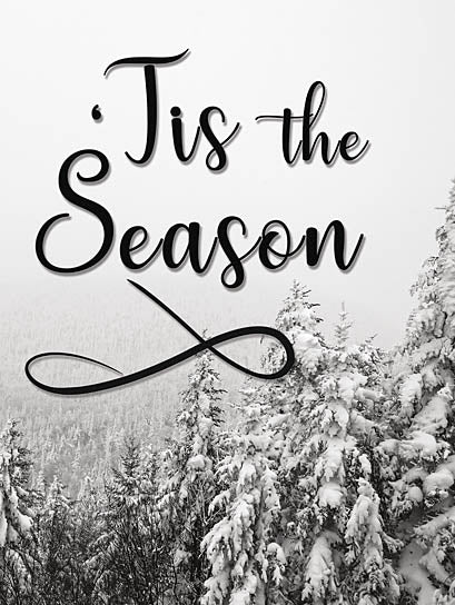 Lauren Rader RAD1345 - RAD1345 - Tis the Season    - 12x16 Tis the Season, Trees, Snow, Winter, Holidays from Penny Lane
