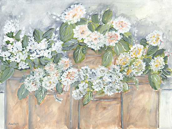 Roey Ebert REAR392 - REAR392 - Windowsill Blooms - 16x12 Abstract, Flowers, White Flowers, Terracotta Pots, Still Life, Botanical from Penny Lane