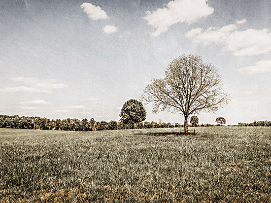 Jennifer Rigsby RIG134 - RIG134 - Together in the Fields I - 16x12 Photography, Landscape, Trees, Fields from Penny Lane