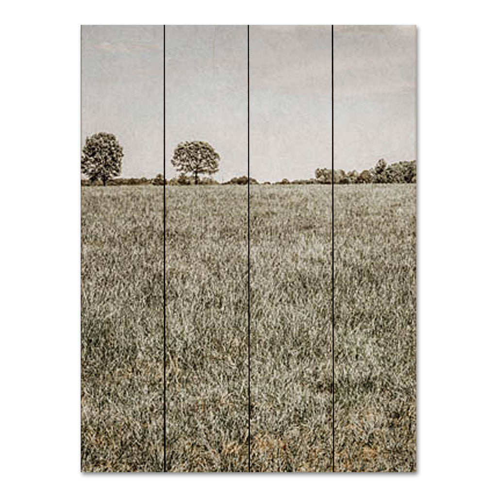 Jennifer Rigsby RIG135PAL - RIG135PAL - Together in the Fields II - 16x12 Photography, Landscape, Trees, Fields from Penny Lane