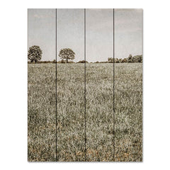 RIG135PAL - Together in the Fields II - 16x12