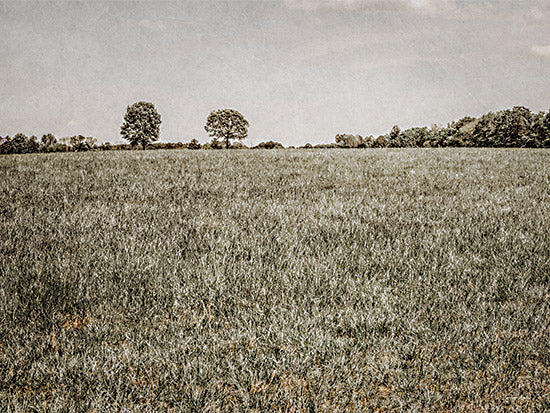 Jennifer Rigsby RIG135 - RIG135 - Together in the Fields II - 16x12 Photography, Landscape, Trees, Fields from Penny Lane