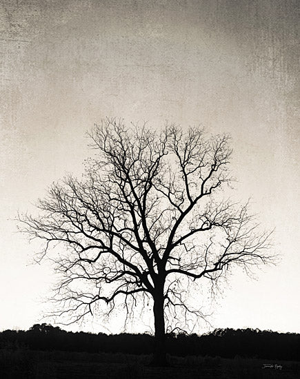 Jennifer Rigsby RIG137 - RIG137 - Under Heaven - 12x16 Photography, Tree, Landscape, Nature from Penny Lane