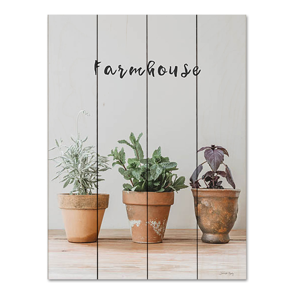 Jennifer Rigsby RIG170PAL - RIG170PAL - Farmhouse Herbs I - 12x16 Still Life, Herbs, Potted Herbs, Kitchen, Farmhouse/Country, Farmhouse, Typography, Signs, Textual Art, Photography from Penny Lane