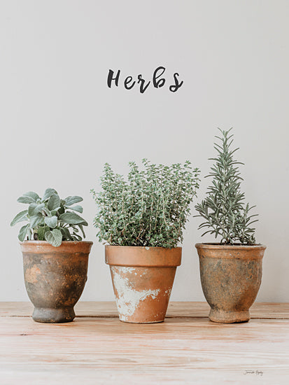 Jennifer Rigsby RIG171 - RIG171 - Farmhouse Herbs II - 12x16 Still Life, Herbs, Potted Herbs, Kitchen, Farmhouse/Country, Typography, Signs, Photography from Penny Lane