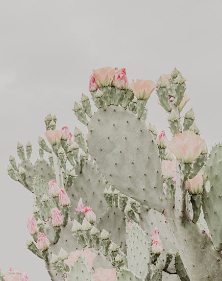 Jennifer Rigsby RIG183 - RIG183 - Blooms Abound II - 12x16 Abstract, Cactus, Blooming Cactus, Pink Flowers, Photography, Botanical from Penny Lane