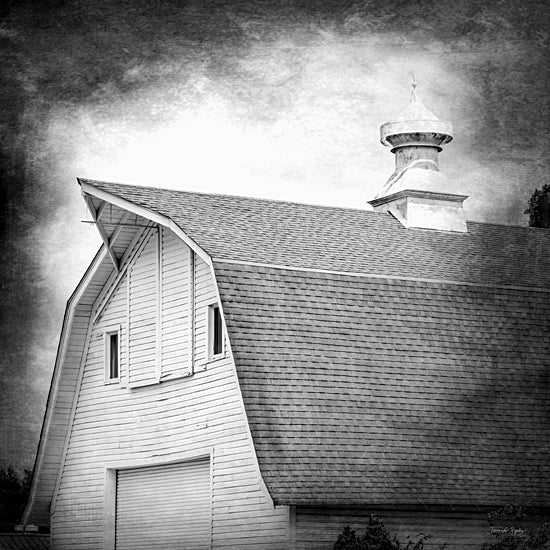 Jennifer Rigsby RIG189 - RIG189 - McDonald Farm Rustic I - 12x12 Photography, Farm, Barn, Black & White, Farmhouse/Country from Penny Lane