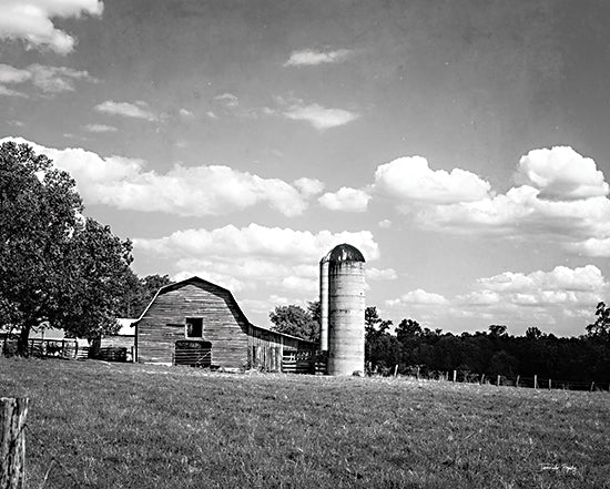 Jennifer Rigsby RIG191 - RIG191 - Peaceful Farm - 16x12 Photography, Farm, Barn, Silo, Fields, Landscape, Black & White, Farmhouse/Country from Penny Lane