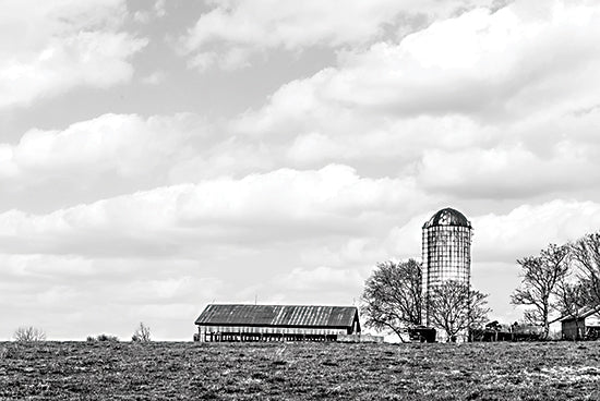 Jennifer Rigsby RIG192 - RIG192 - Butler Road Farm - 18x12 Photography, Farm, Barn, Silo, Fields, Landscape, Black & White, Farmhouse/Country from Penny Lane