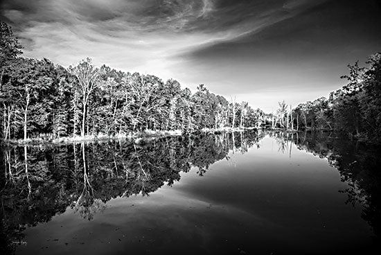 Jennifer Rigsby RIG202 - RIG202 - Glassy Creek - 18x12 Photography, Creek, Trees, Reflections, Tree-Lined, Black & White from Penny Lane