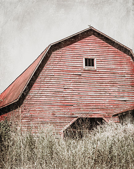 Jennifer Rigsby RIG205 - RIG205 - Morning Rest - 12x16 Photography, Barn, Red Barn, Farm, Crops from Penny Lane