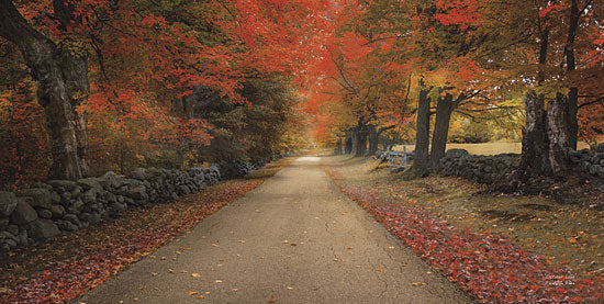 Robin-Lee Vieira RLV386 - October Lane - Trees, Autumn, Path from Penny Lane Publishing