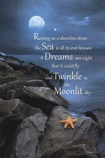 Robin-Lee Vieira RLV422 - The Dream - Starfish, Rocks, Moon, Inspirational from Penny Lane Publishing