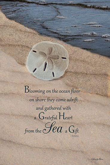 Robin-Lee Vieira RLV423 - The Gift - Sand Dollar, Coastal, Beach, Ocean, Inspirational from Penny Lane Publishing