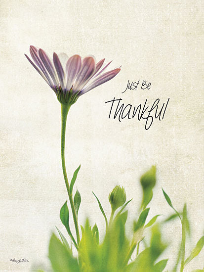Robin-Lee Vieira RLV431 - Just be Thankful - Daisy, Inspirational from Penny Lane Publishing