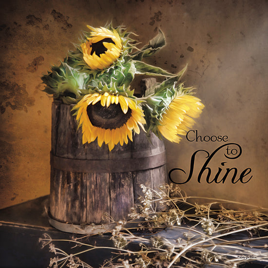 Robin-Lee Vieira RLV530 - Choose to Shine - Sunflower, Bucket, Inspirational from Penny Lane Publishing