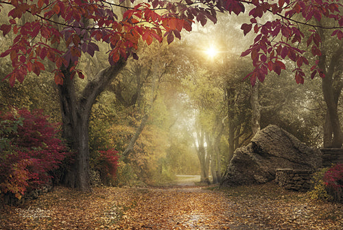Robin-Lee Vieira RLV570 - October Dreams - Trees, Path, Landscape, Photography, Sign, Fall from Penny Lane Publishing