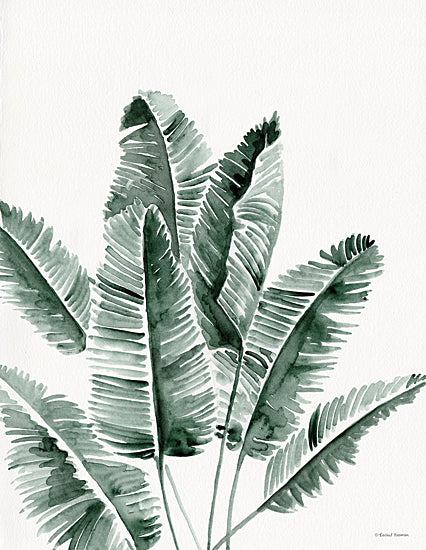 Rachel Nieman RN164 - RN164 - Summer Botanicals 3   - 12x16 Leaves, Botanical, Tropical from Penny Lane