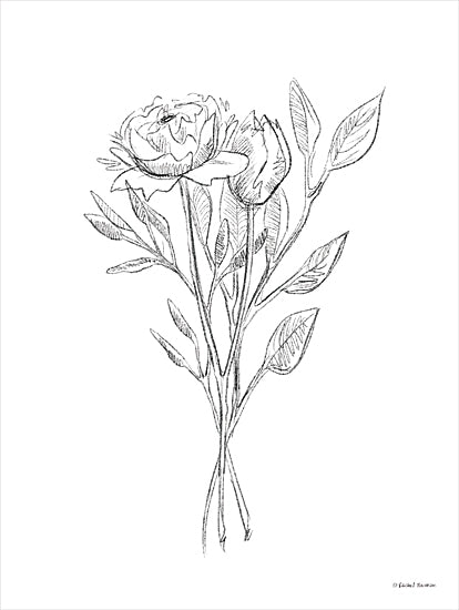 Rachel Nieman RN305 - RN305 - Sketched Botanicals I - 12x16 Sketched Botanicals, Sketch, Flowers, Greenery, Black & White, Simplistic from Penny Lane