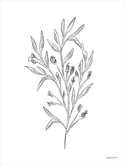 Rachel Nieman RN306 - RN306 - Sketched Botanicals II - 12x16 Sketched Botanicals, Sketch, Leaves, Greenery, Black & White, Simplistic from Penny Lane