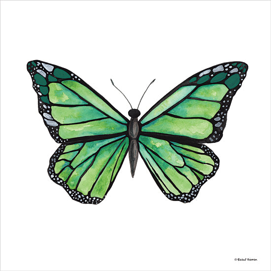 Rachel Nieman RN327 - RN327 - Naturally Wonderful Butterfly - 12x12 Butterfly, Green Butterfly, Insects, Nature from Penny Lane
