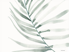 RN387 - Sage Fern Leaf - 16x12