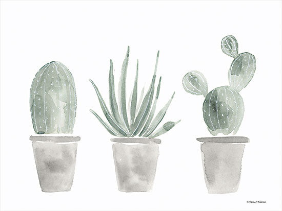 Rachel Nieman RN388 - RN388 - Sage Cactus Trio - 16x12 Sage Cactus, Succulents, Southwestern, Still Life, Neutral Palette, Cactus from Penny Lane