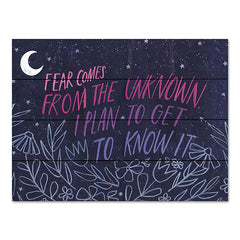 RN455PAL - Fear Comes From the Unknown - 16x12